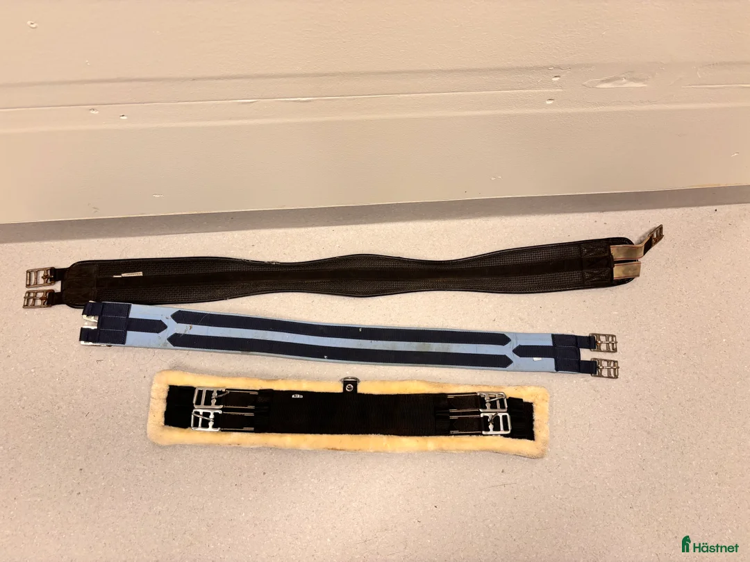 Sadeltillbehör hästutrustning till salu: 6 blandade sadelgjordar  i Växjö - Annons 1