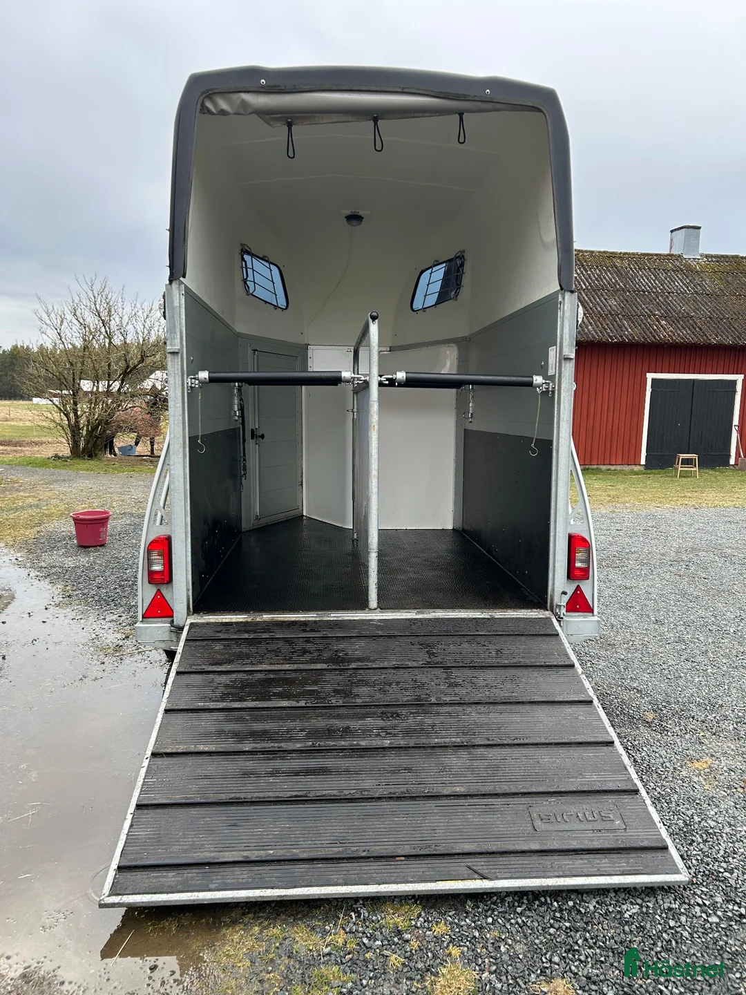 Hästtransporter  fordon & transport till salu: Sirius s75 -21 - Annons 2