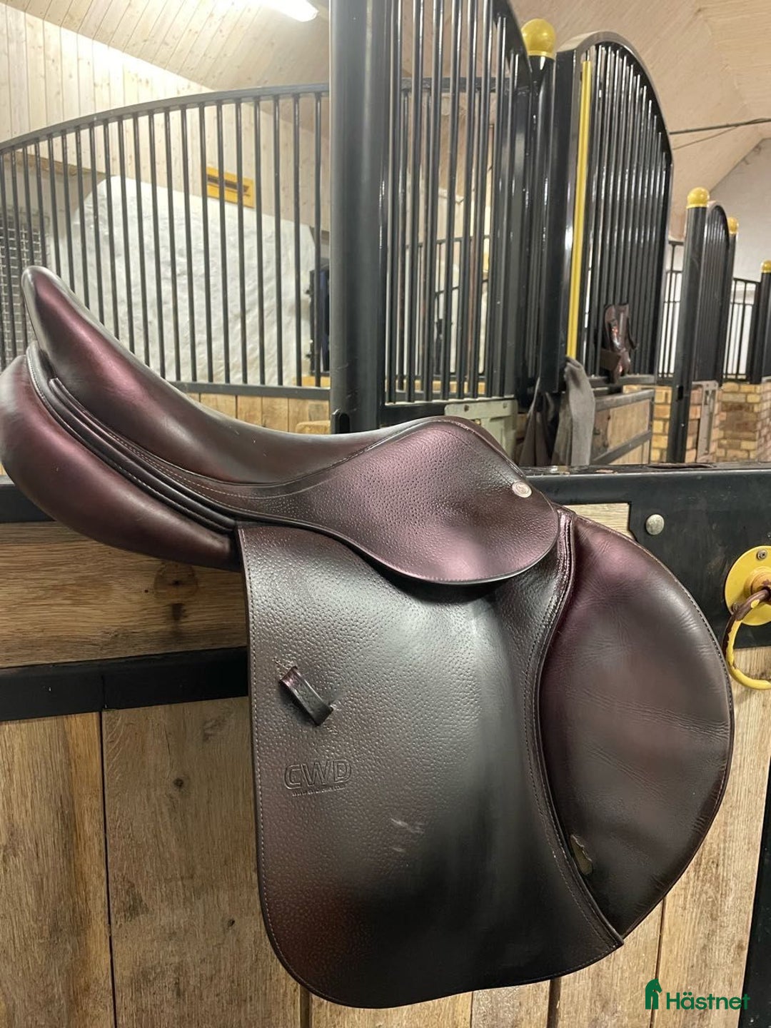 Sadlar hästutrustning till salu: CWD Se02 i Kristianstad - Annons 3