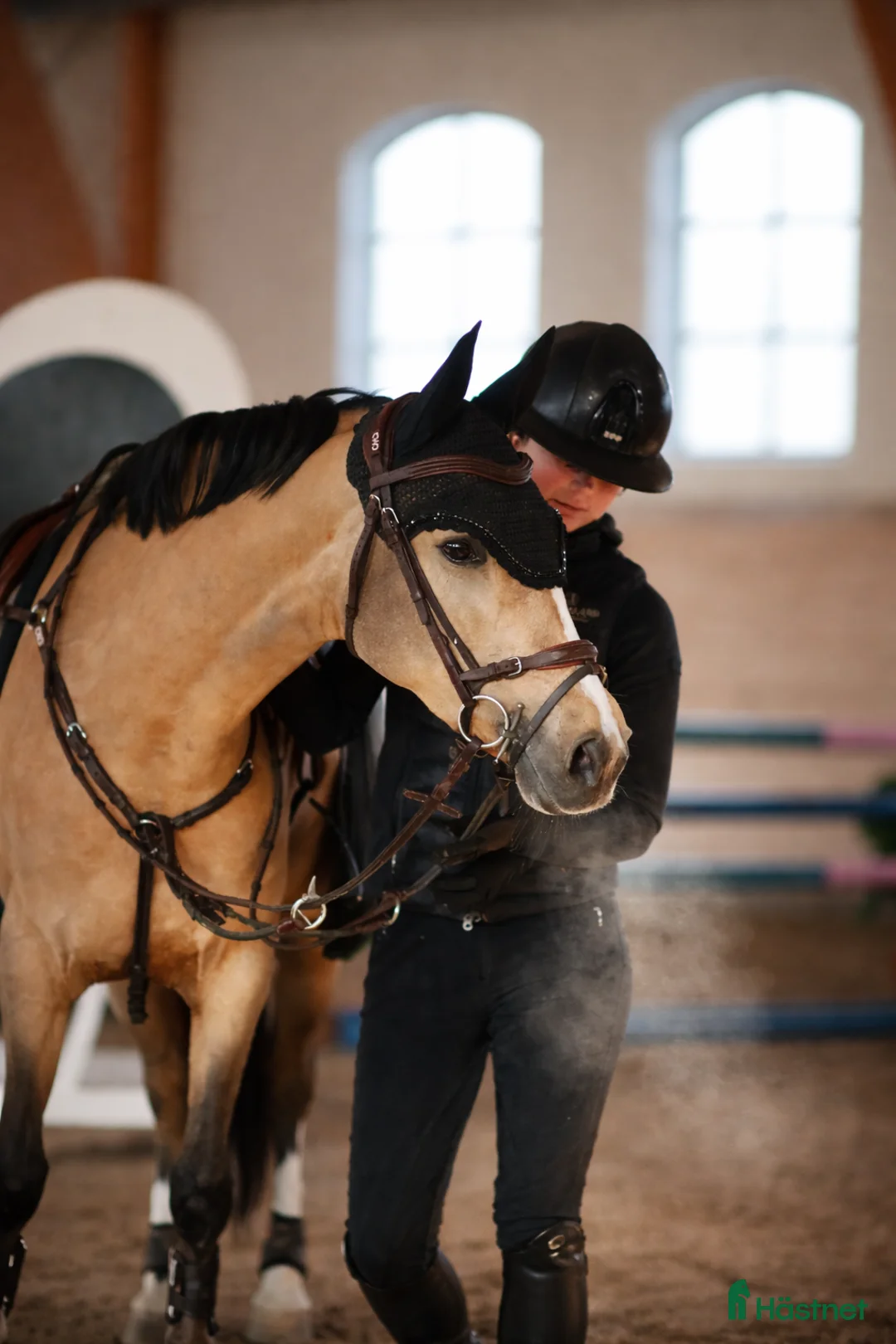 Allround hästar till salu: Kvalitets sto - Annons 2