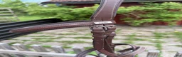 Träns hästutrustning till salu: Träns Lippo Fancy Slim - Annons 10