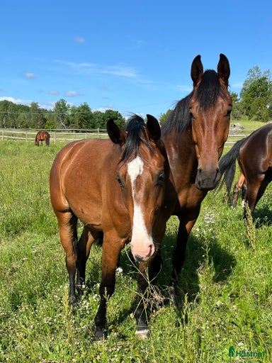 Galleribild {{count}}