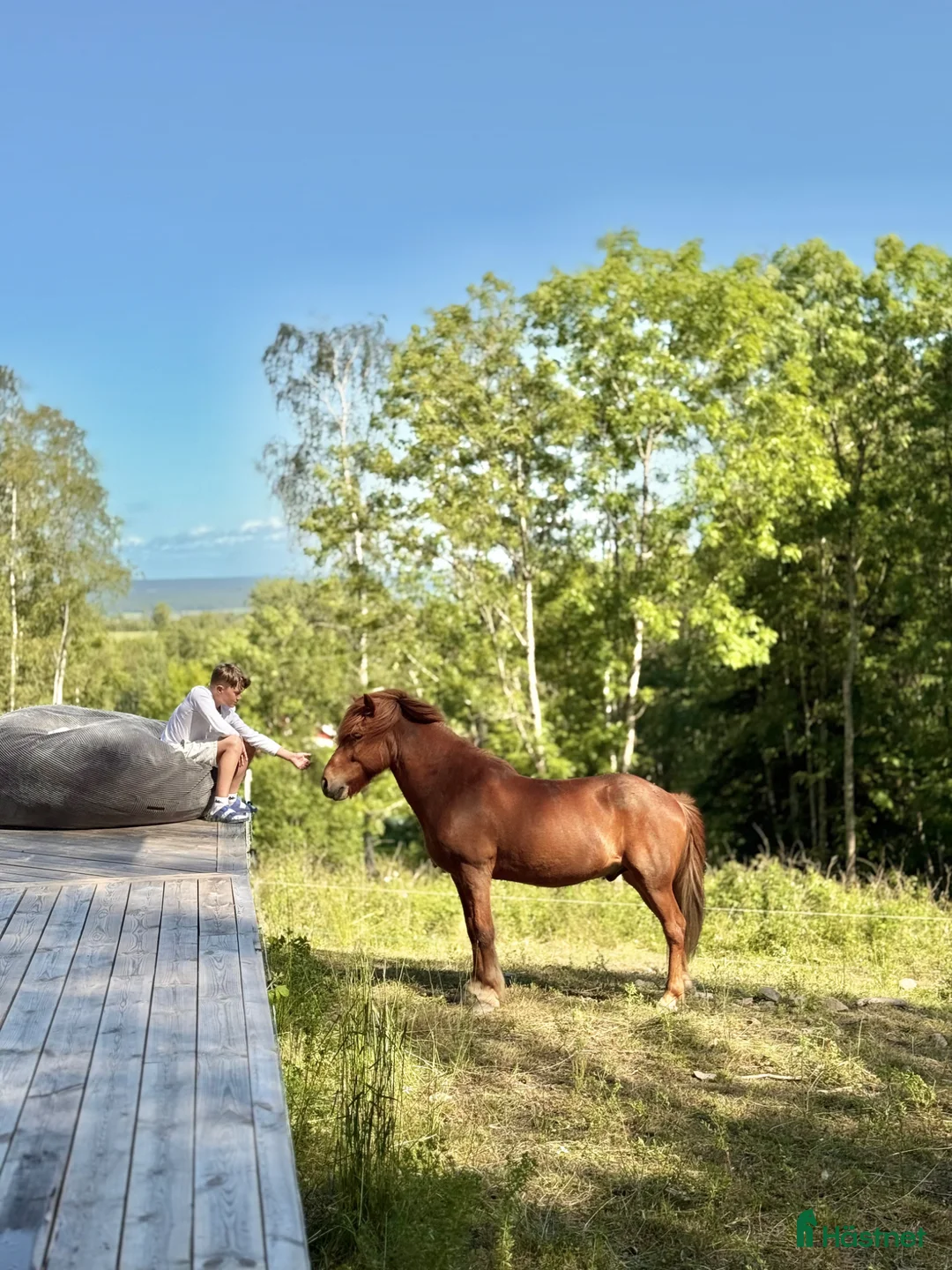 Galleribild {{count}}