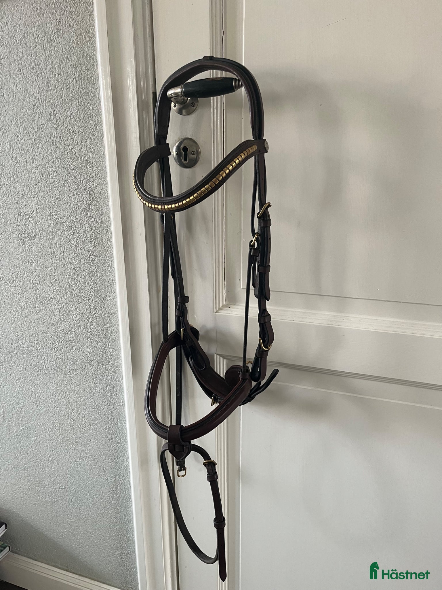 Träns hästutrustning Equipe träns  - Annons 1