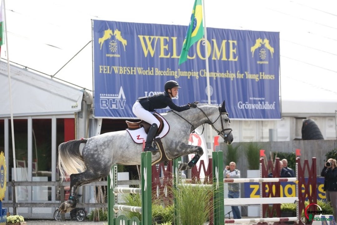 Avelshästar hästar till salu: Flott avlshoppe til salgs i Sola kommun - Annons 2