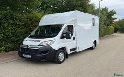 Hästlastbilar  fordon & transport till salu: Fabriksny Dickenherr 2-Ride StuteriLight i Haverdal - Bild 9