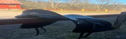Sadlar hästutrustning till salu: Bates Dressage CAIR, 17’, 10.500kr. i Huddinge - Annons 2