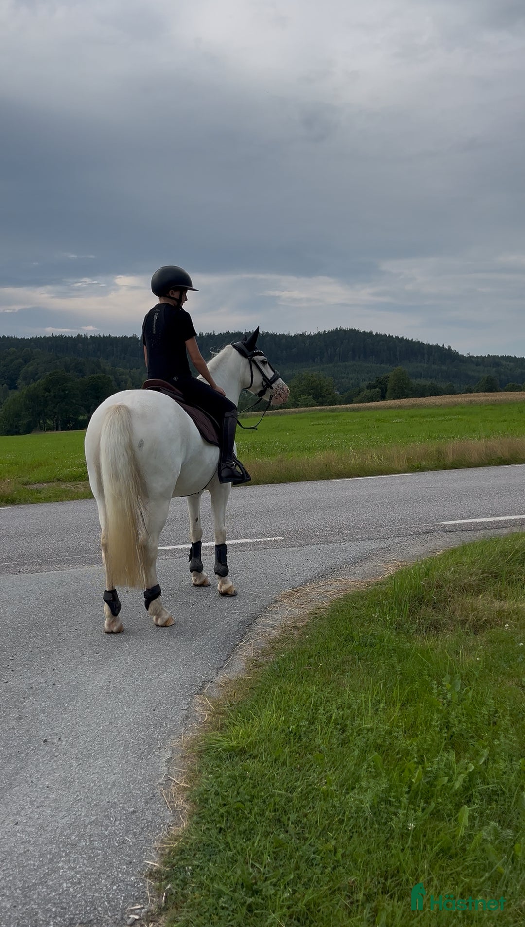 Hoppning hästar till salu: C-ponny ⭐️ i Bollebygd - Annons 1