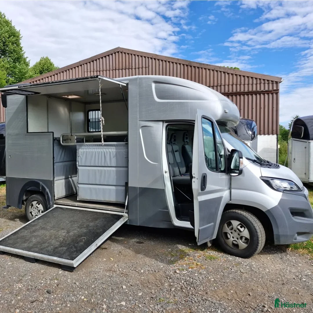 Hästtransporter  fordon & transport till salu:  Peugeot Boxer MSG Stablehopper i Borås - Annons 7