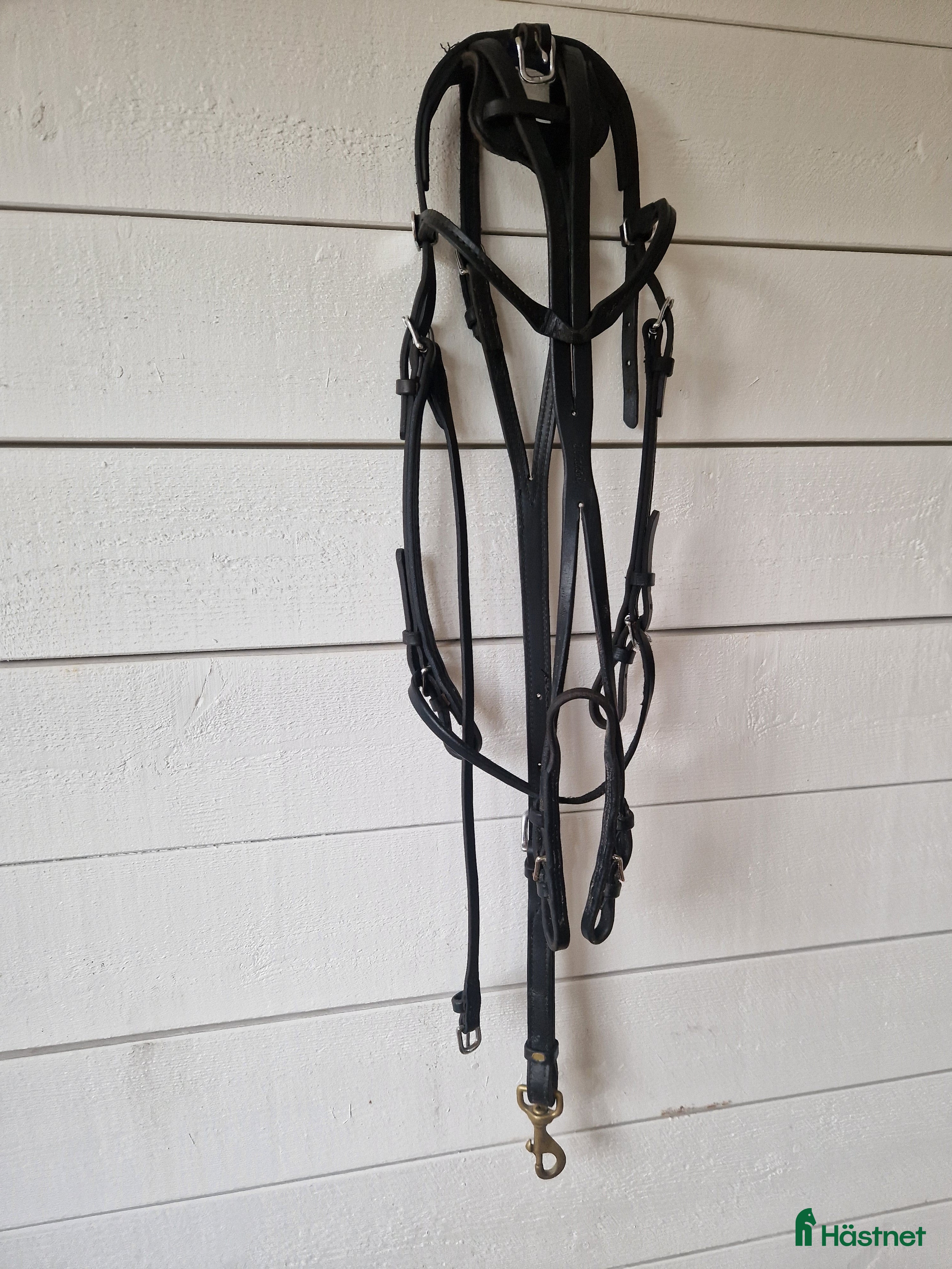 Övrig Travutrustning trav till salu: Walsh huvudlag i läder i Ängelholm - Annons 18