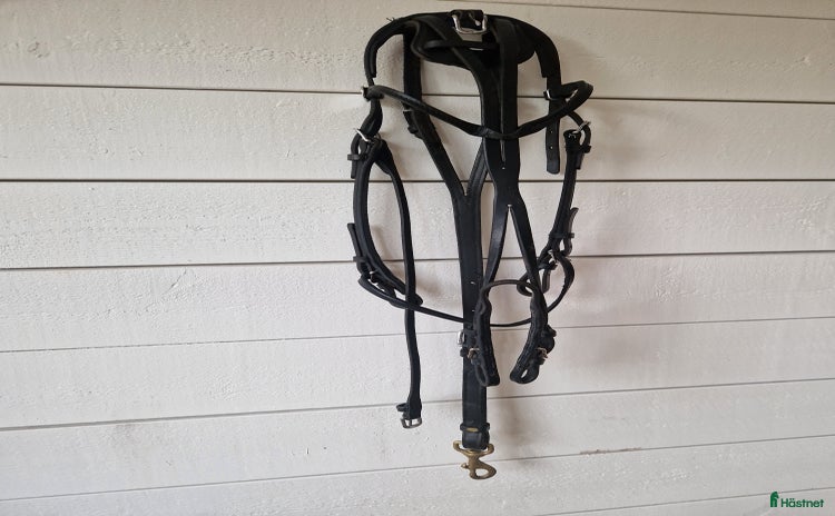 Övrig Travutrustning trav till salu i Ängelholm - Annons 14