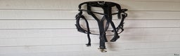 Övrig Travutrustning trav till salu: Walsh huvudlag i läder i Ängelholm - Annons 1