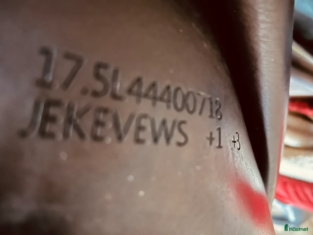 Sadlar hästutrustning till salu: Equipe EK EVO Equipe magplatta  i Växjö - Annons 4