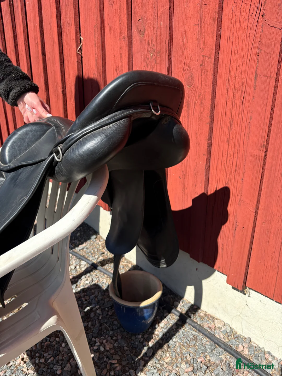 Sadlar hästutrustning till salu: Top Reiter Start - Annons 2