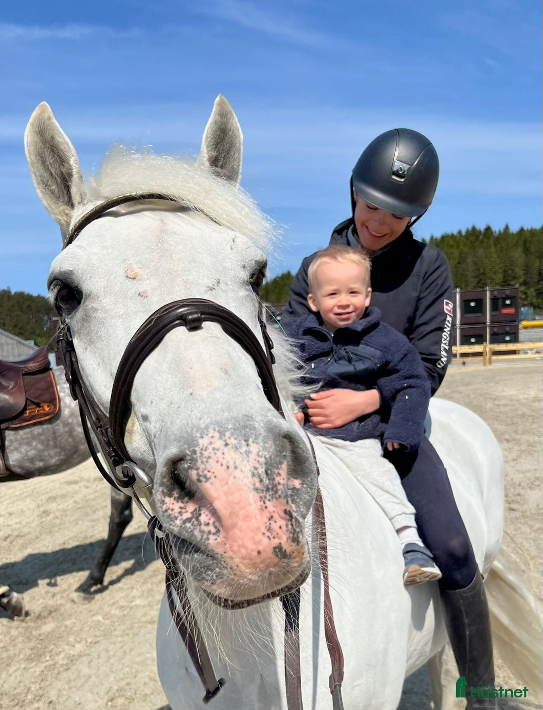 Hoppning hästar till salu: Topp kat.1 ponni til salgs i Bryne - Annons 5