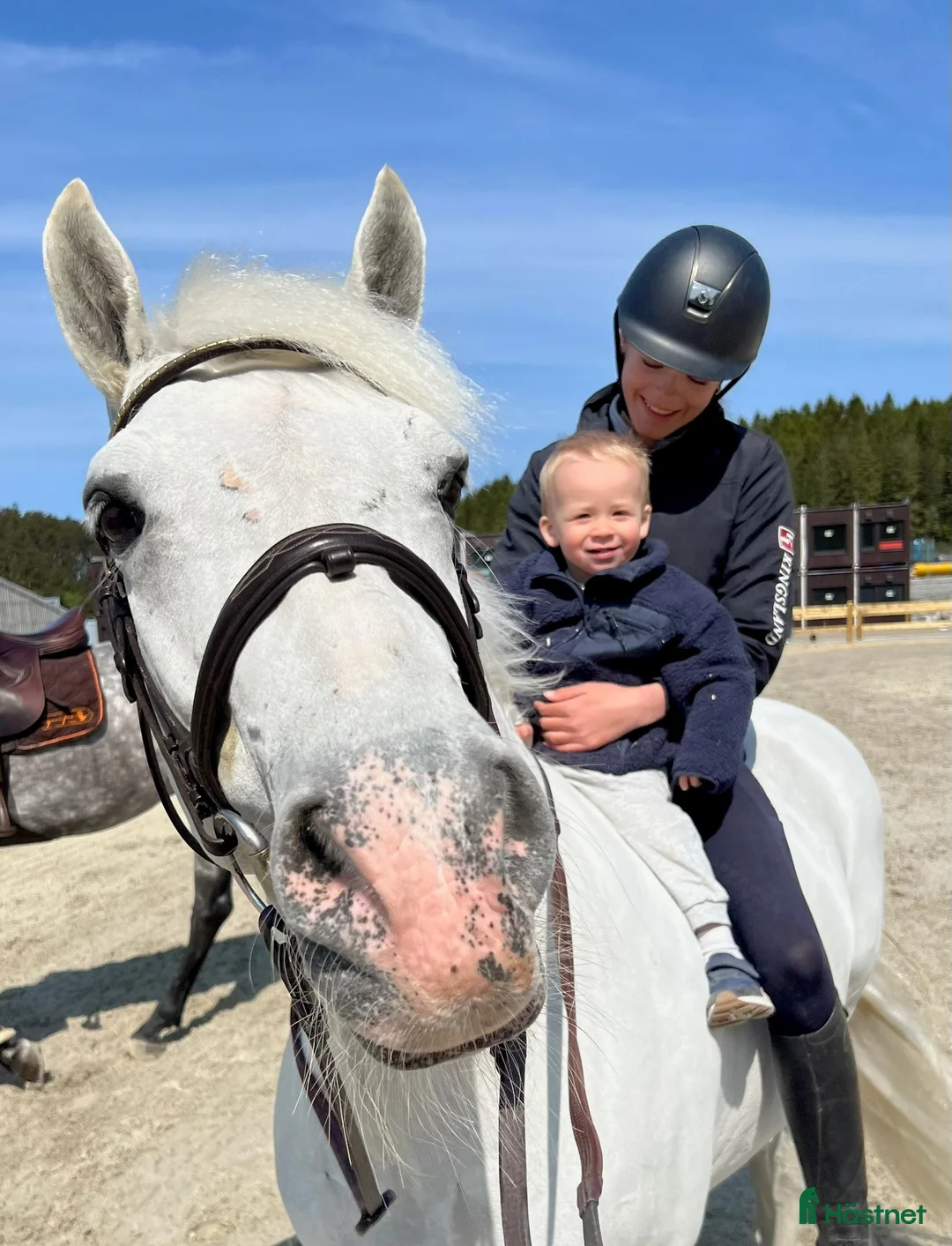 Hoppning hästar till salu: Topp kat.1 ponni til salgs i Bryne - Annons 5
