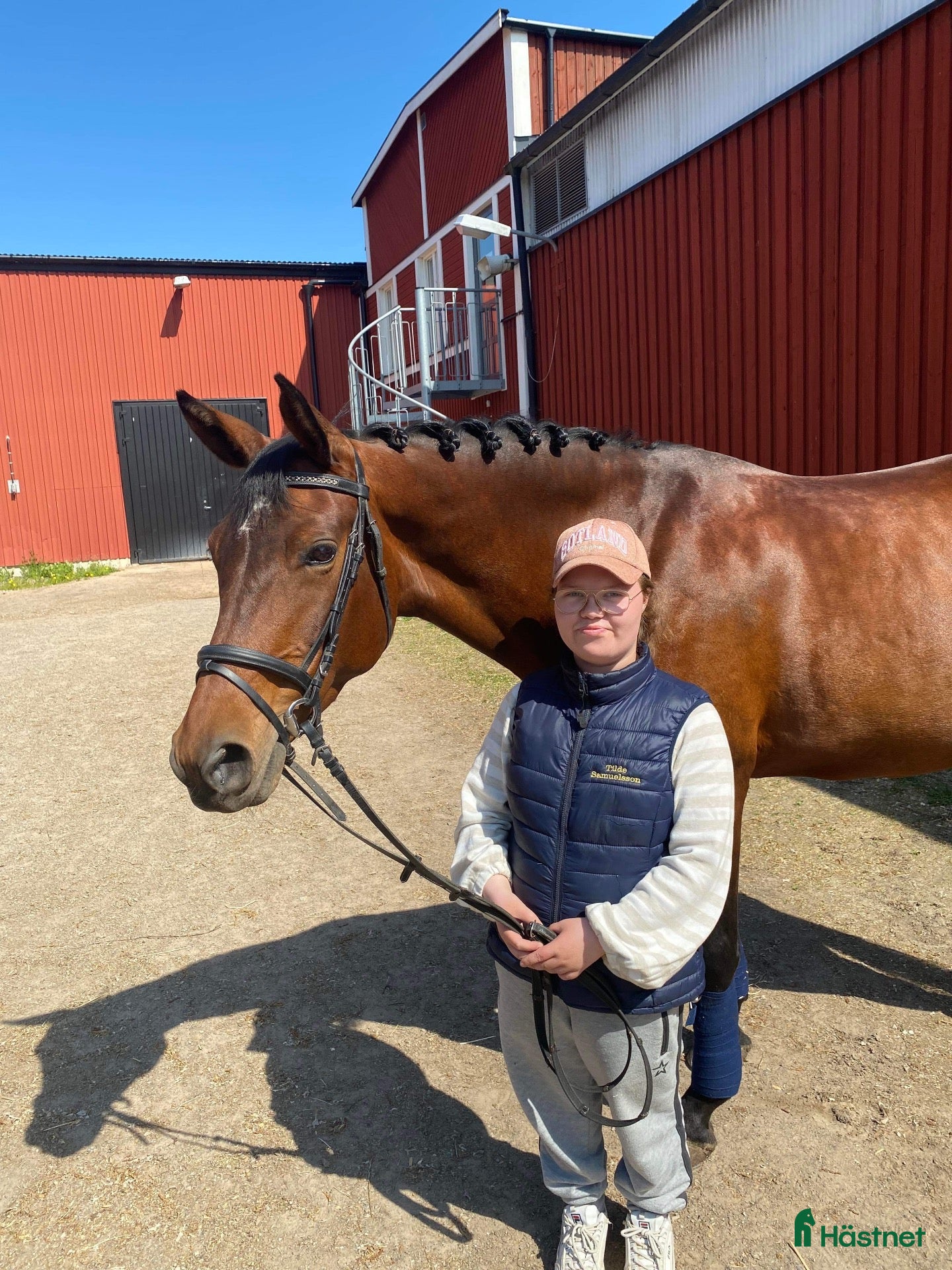  hästjobb SÖKER JOBB - Annons 6