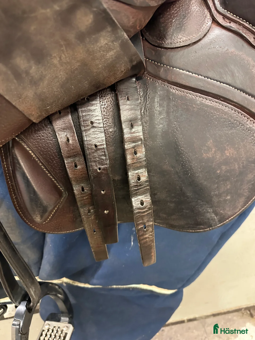 Sadlar hästutrustning till salu: CWD Mademoiselle  i Hörby - Annons 6