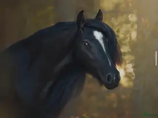 hästar Världens finaste Pinky - Annons 4