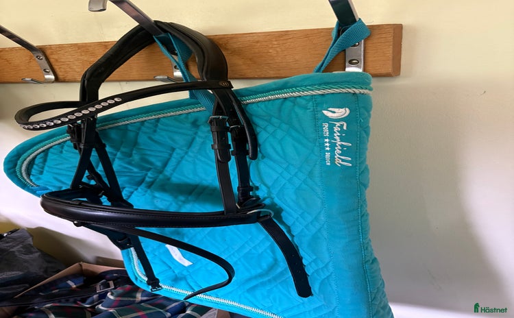 Träns hästutrustning till salu i Vikbolandet - Annons 13