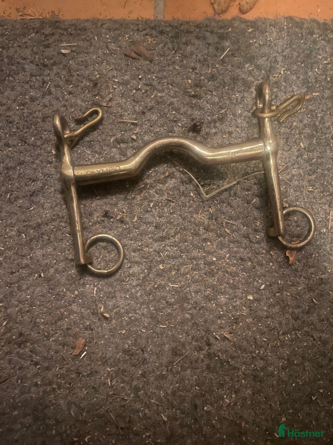 Övrig Hästutrustning hästutrustning till salu: Blandad hästutrustning!! - Annons 2