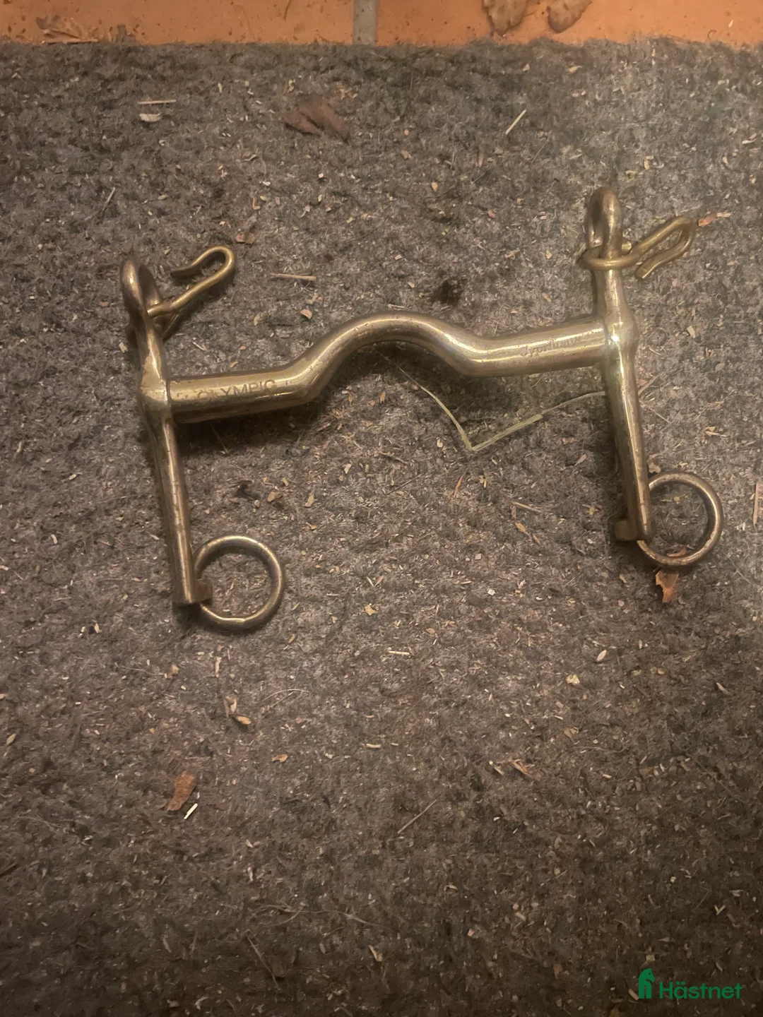 Övrig Hästutrustning hästutrustning till salu: Blandad hästutrustning!! - Annons 2