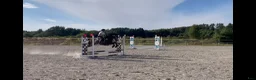Fälttävlan hästar till salu: Fantastisk Connemara med kapacitet  - Annons 1