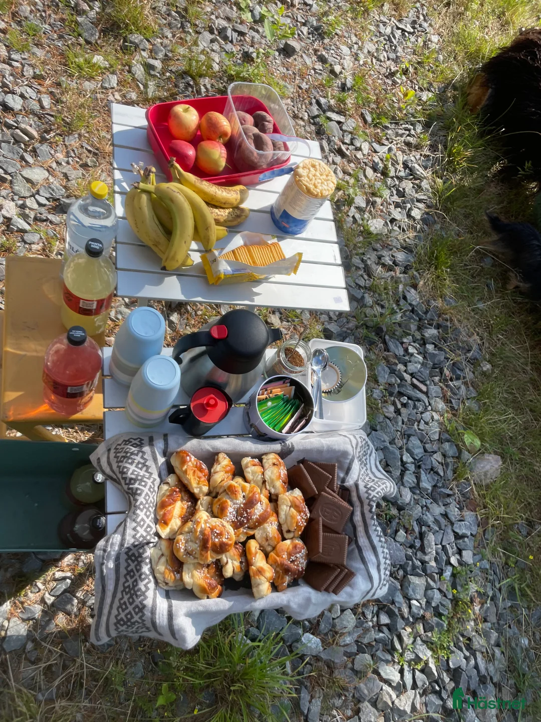  hästservice finnes: Ridläger i vackra Bergslagen! i Riddarhyttan - Annons 6