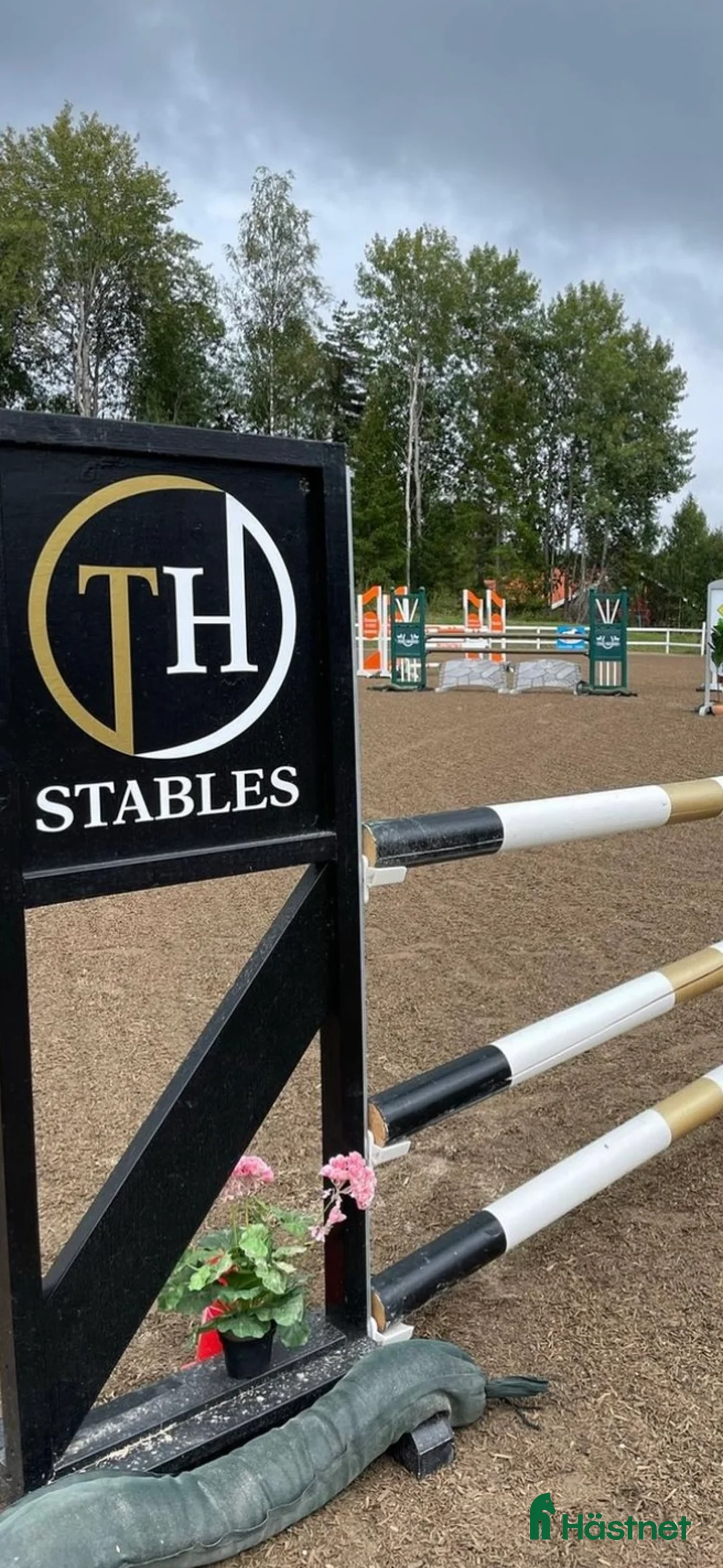  stallplats finnes: Ledig stallplats - Annons 3