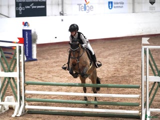 hästar The Tigers Eye i Täby - Annons 19