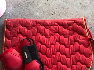 Schabrak & Vojlockar hästutrustning till salu: Fint sett i Rydöbruk - Annons 2