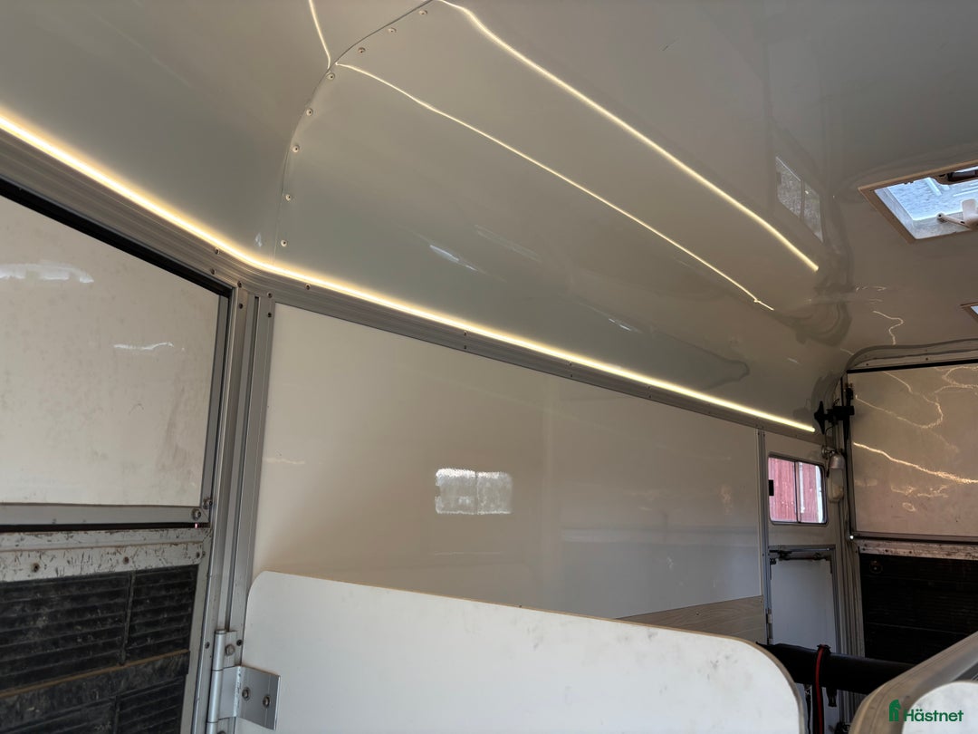 Hästtransporter  fordon & transport till salu: Fint Ume B50  i Hälsö - Annons 4