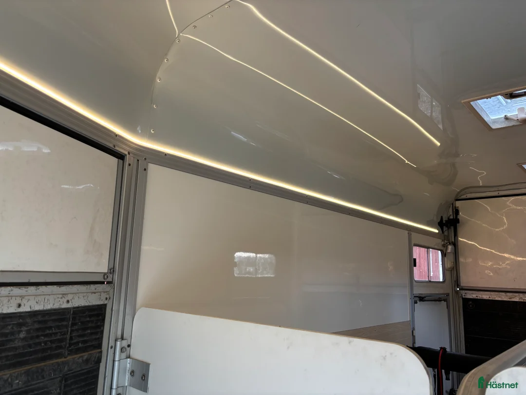 Hästtransporter  fordon & transport till salu: Fint Ume B50  i Hälsö - Annons 4