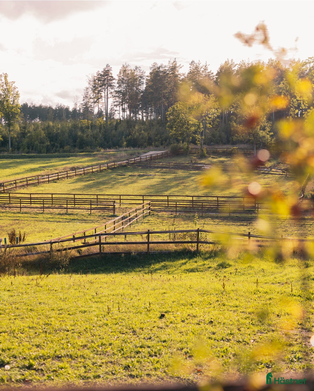  stallplats finnes: Lediga stallplatser på fullutrustad anläggning🐎 i Linköping - Annons 6