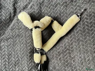 Övrig Hästutrustning hästutrustning Två grimmor - Annons 13