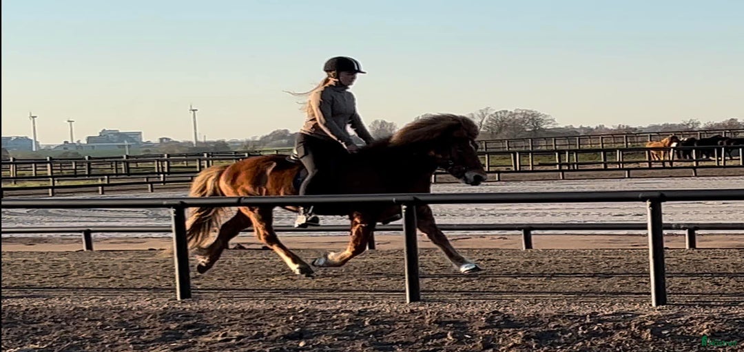 Galleribild {{count}}