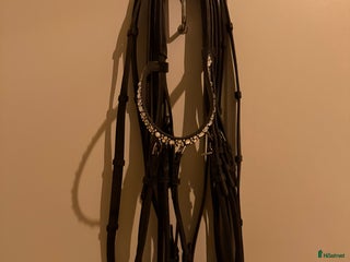 Övrig Hästutrustning hästutrustning till salu: Kandar , träns , schabrak, Ps skydd i Grödinge - Annons 7