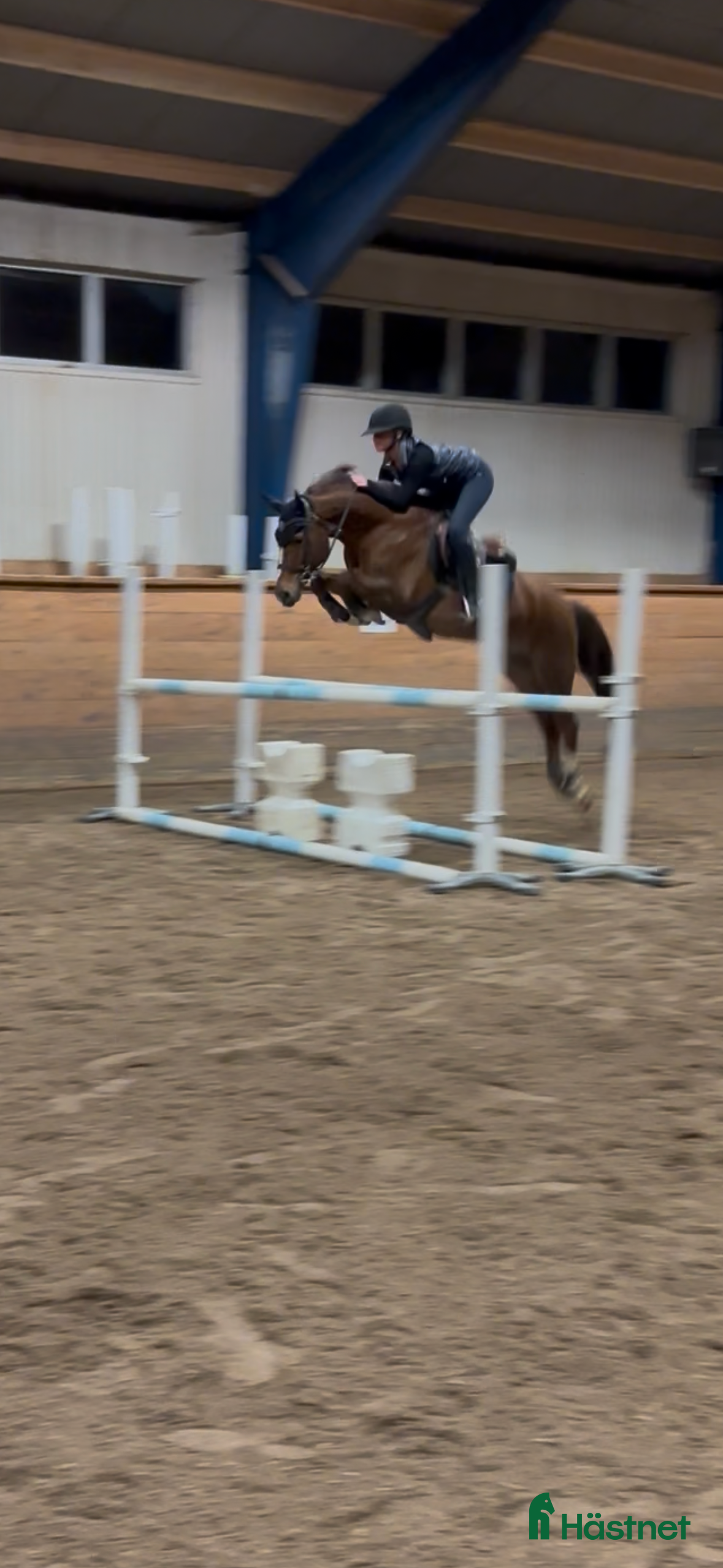  hästar En på miljonen - Annons 3