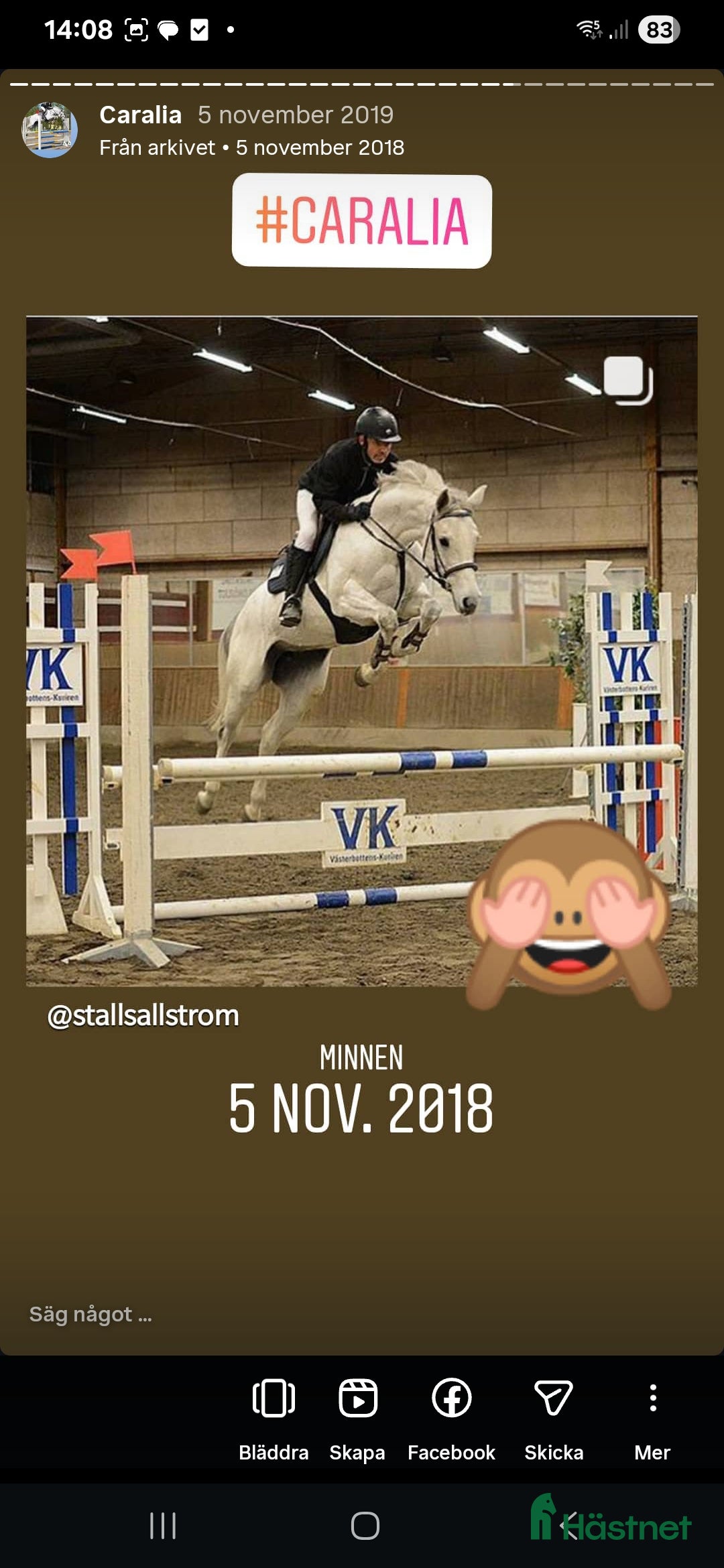  hästar Välstammat Avelssto i Umeå - Annons 10