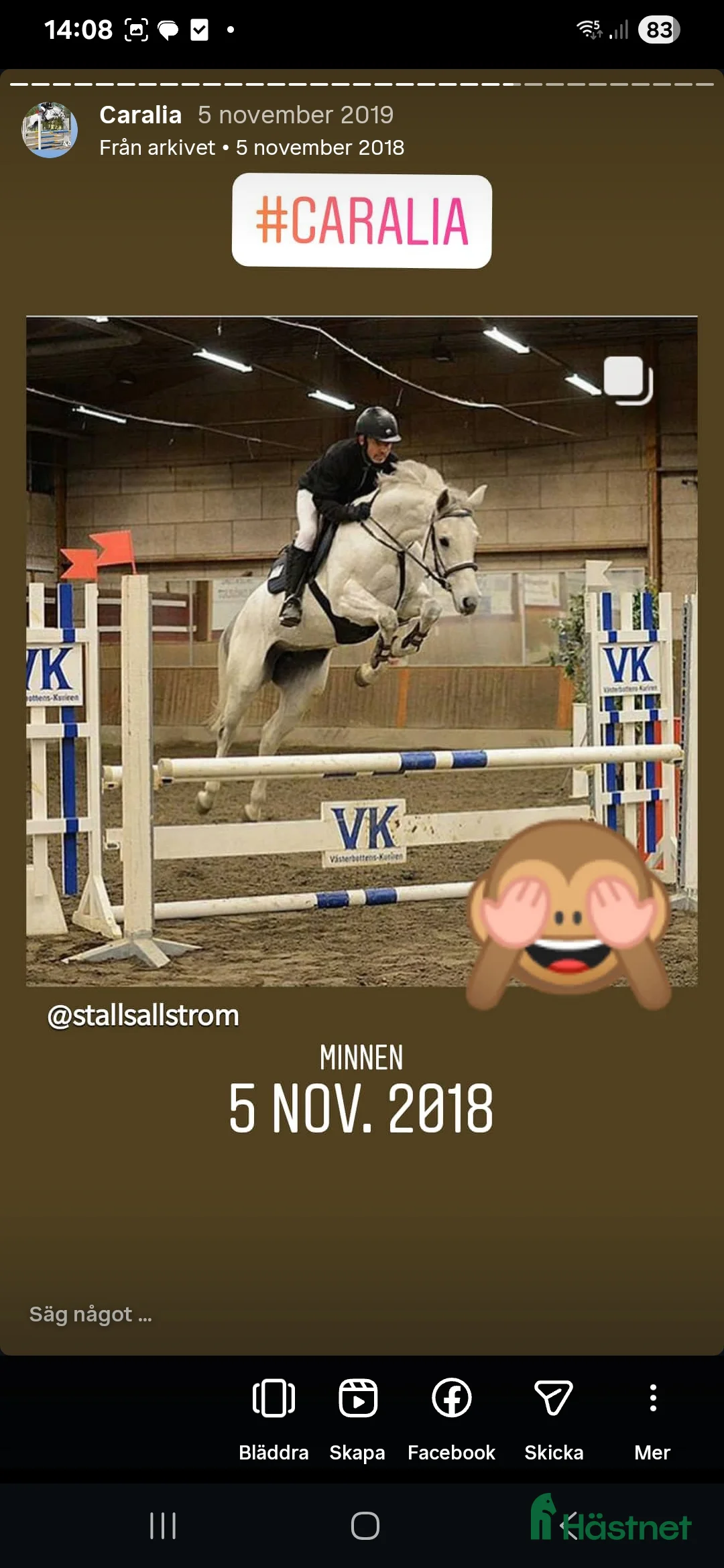 Hoppning hästar till salu: Välstammat Avelssto i Umeå - Annons 1