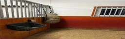  stallplats finnes: Stallplats uthyres - Annons 4