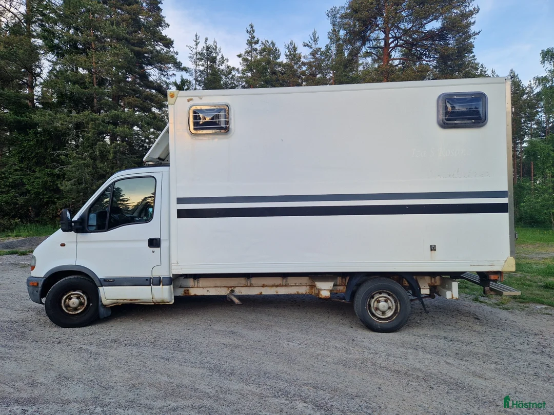 Hästlastbilar  fordon & transport till salu: Hästlastbil Renault Master B-kort - Annons 7