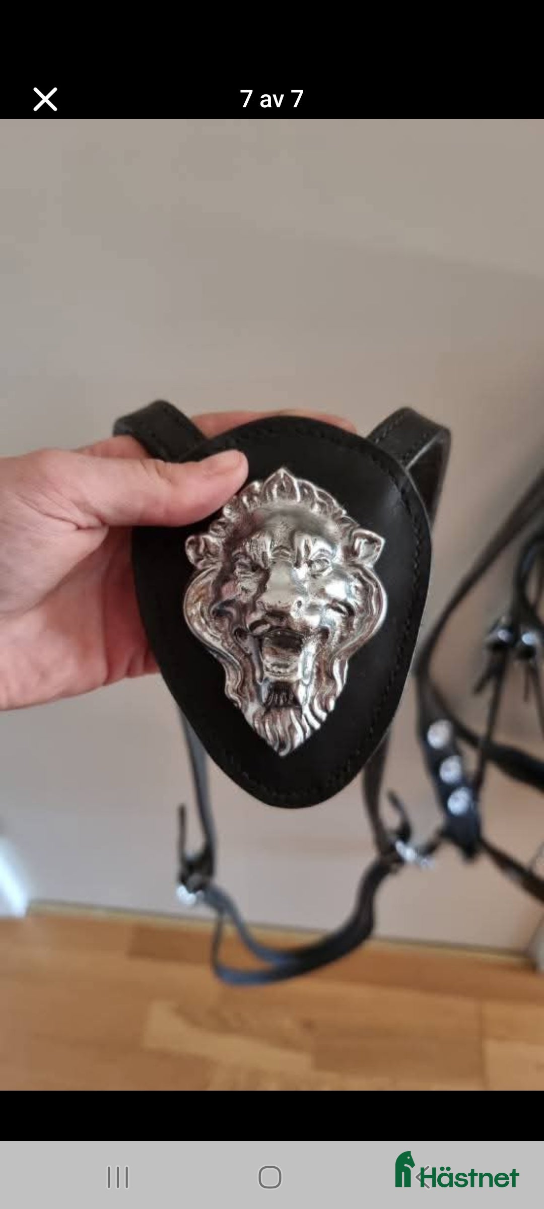 Träns hästutrustning till salu: Akademisk träns med tillhörande halsring  i Björkvik - Annons 6