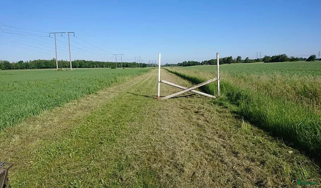  stallplats finnes: Lösdrift Häst - ung som gammal - blandflock i Bro - Annons 20