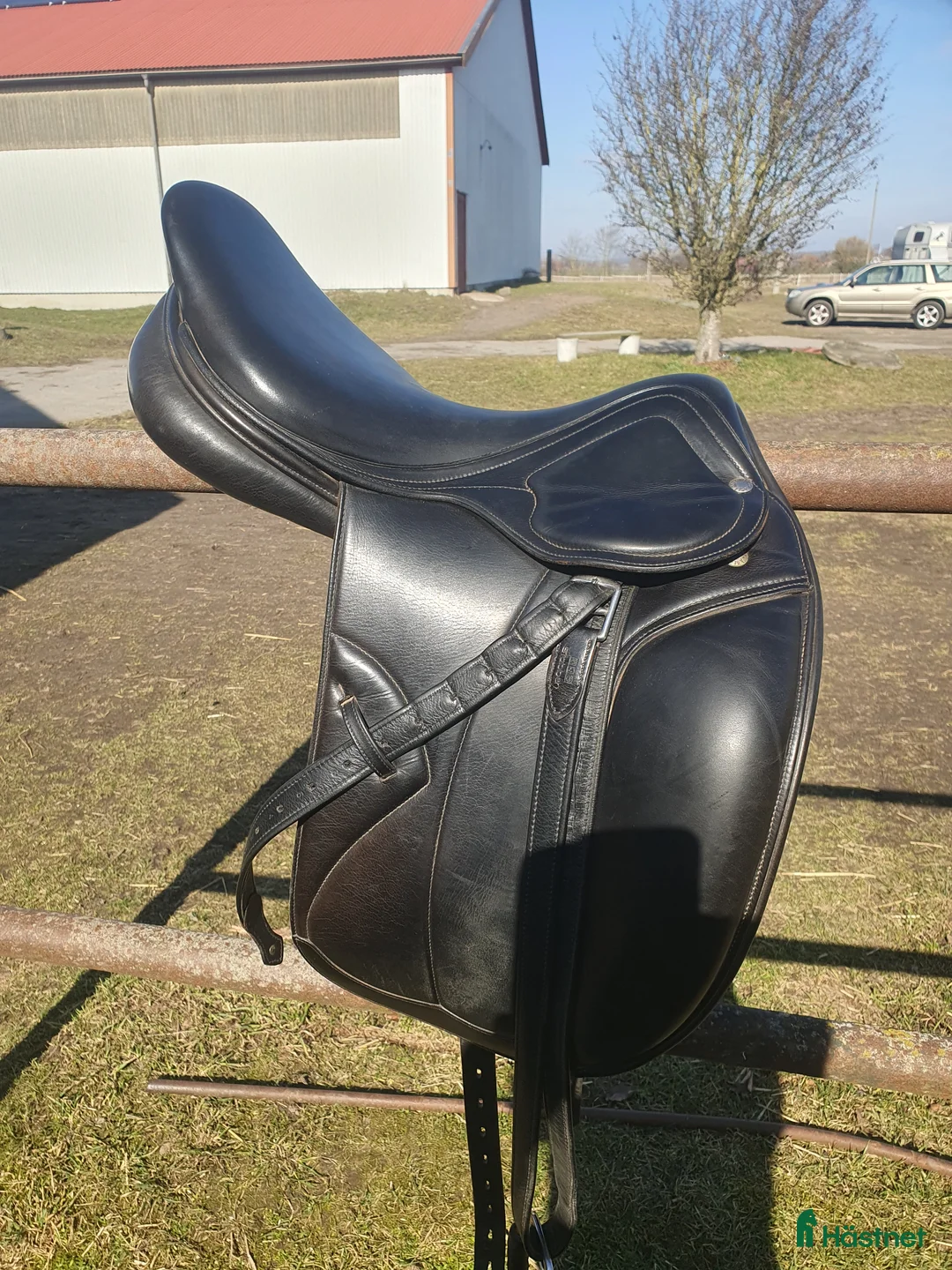 Sadlar hästutrustning till salu: Amerigo dressyr i Kristianstad - Annons 1