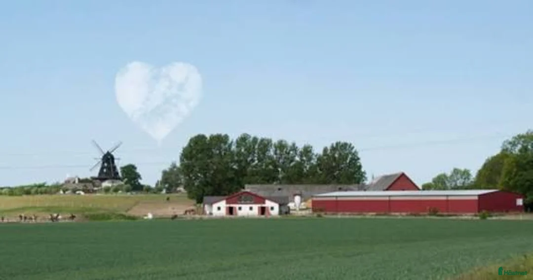  stallplats finnes: "All inclusive" stall nära Malmö/Lund i Åkarp - Annons 1