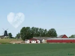 stallplats finnes: "All inclusive" stall nära Malmö/Lund i Åkarp - Annons 2
