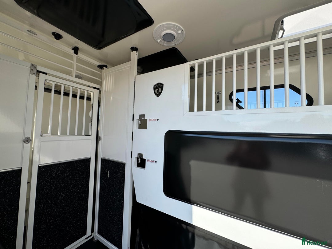 Hästlastbilar  fordon & transport till salu: VINTERKAMPANJ – PARAGAN EXCELSION 5XL STUTERI  i Köping - Annons 5