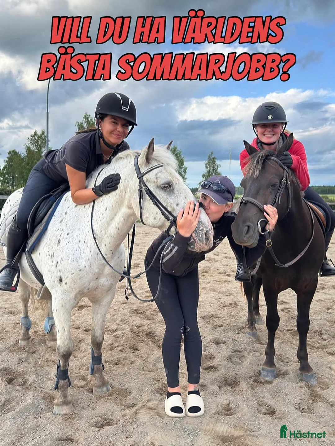  hästjobb finnes: Vill du ha världens bästa sommarjobb?  i Sala - Annons 1