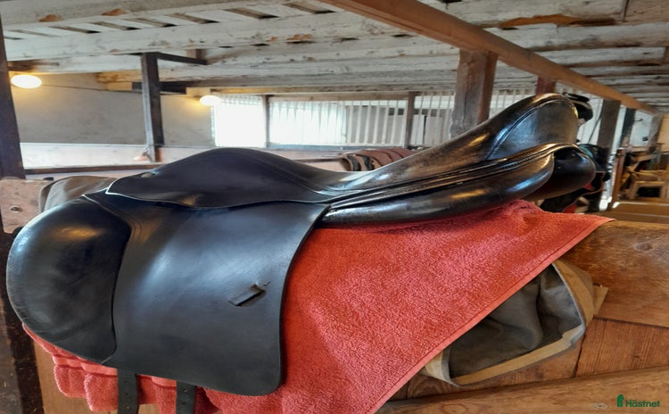Sadlar hästutrustning till salu i Enköping - Annons 11